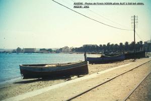 ARZEW 329